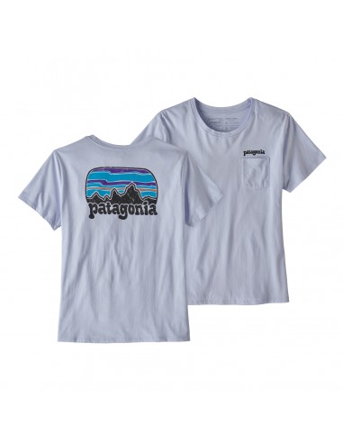 Patagonia Womens Fitz Roy Far Out Organic Crew Pocket T-shirt Beluga Offbody