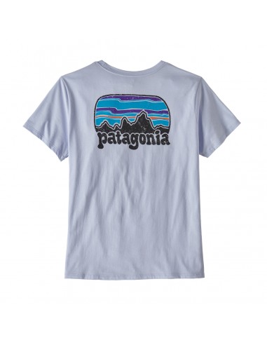 Patagonia Womens Fitz Roy Far Out Organic Crew Pocket T-shirt Beluga Offbody Back