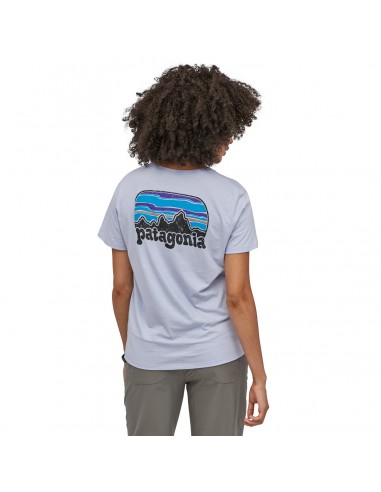 Patagonia Womens Fitz Roy Far Out Organic Crew Pocket T-shirt Beluga Onbody Back
