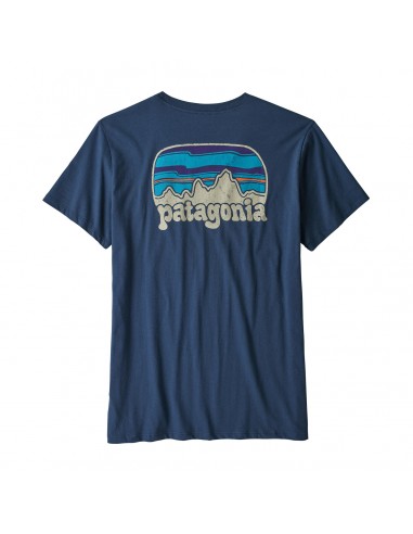 Patagonia Womens Fitz Roy Far Out Organic Crew Pocket T-shirt Stone Blue Offbody Back