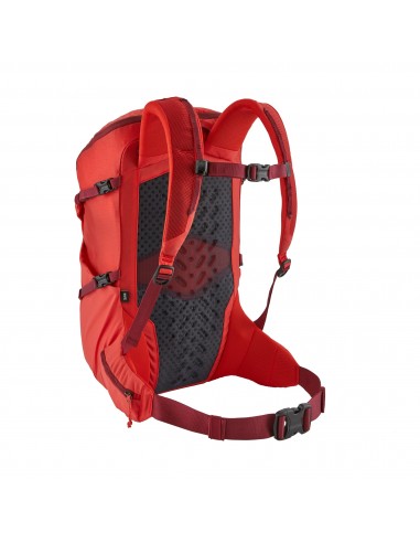 Patagonia Womens Nine Trails Pack 26L Catalan Coral Back