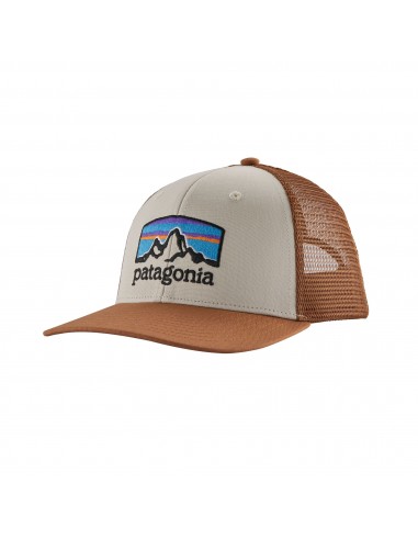 Patagonia Fitz Roy Horizons Trucker Hat Purnice Offbody Front