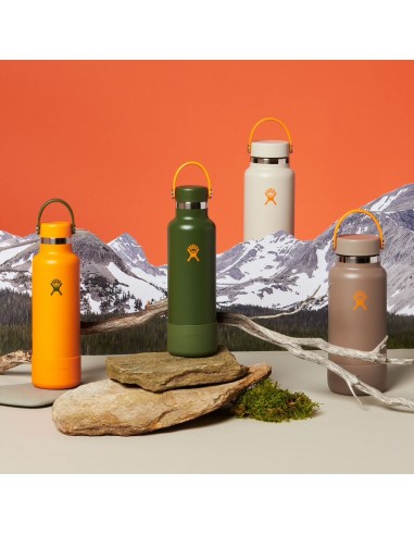 Hydro Flask 21 Oz Timberline Limited Edition Standard Mouth Lifestyle