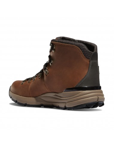 Danner Hiking Shoes Mountain 600 4.5" Rich Brown Back
