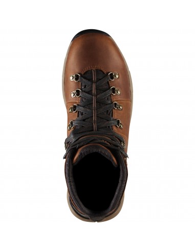 Danner Hiking Shoes Mountain 600 4.5" Rich Brown Top