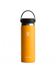 Hydro Flask 20 oz Wide Mouth 2.0 with Flex Cap Starfish