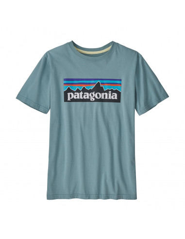 Patagonia Boys Regenerative Organic Certification Cotton P-6 Logo T-Shirt Upwell Blue