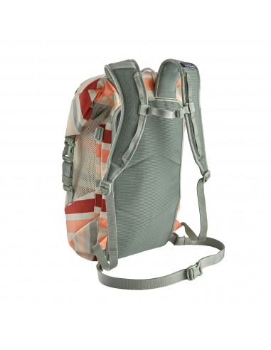 Patagonia Planing Roll Top Pack 35L Water Ribbons New Adobe Back