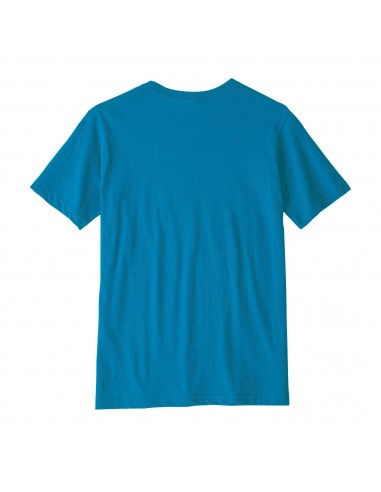 Patagonia Boys P-6 Logo Organic T-Shirt Balkan Blue Offbody Back