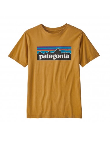 Patagonia Chlapecké P-6 Logo Organic Tričko Surfařská Žlutá Offbody Zepředu