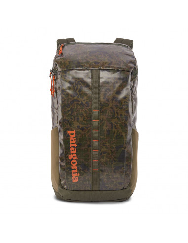 Patagonia Black Hole Pack 25L Lichen: Basin Green Front