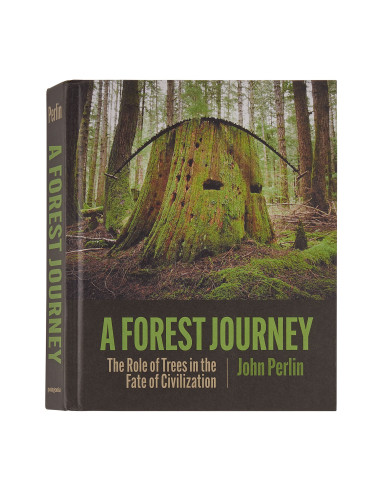 Patagonia A Forest Journey: The Role of Trees in the Fate of Civilization Front