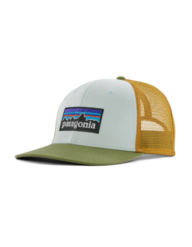 Patagonia P-6 Logo Trucker Hat Wispy Green Offbody Front