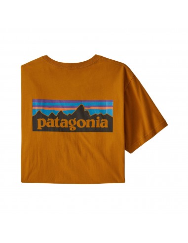 Patagonia Pánské Tričko P-6 Logo Organická Bavlna Hammondova Zlatá Offbody Zezadu
