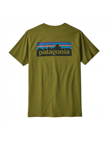 Patagonia Mens P-6 Logo Organic Cotton T-Shirt Willow Herb Green Offbody Back
