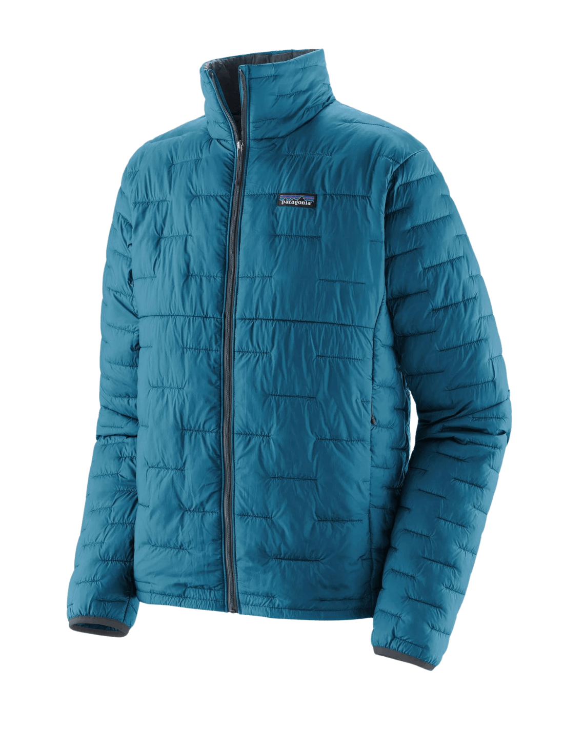 Patagonia Micro Puff jacket